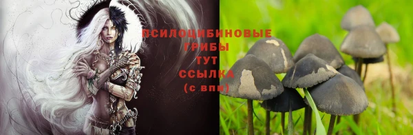 гидра Михайловка