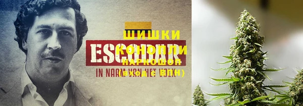PSILOCYBIN Нефтегорск