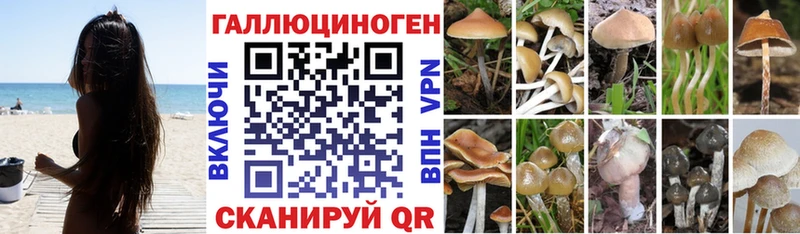 Псилоцибиновые грибы Magic Shrooms  Катайск 